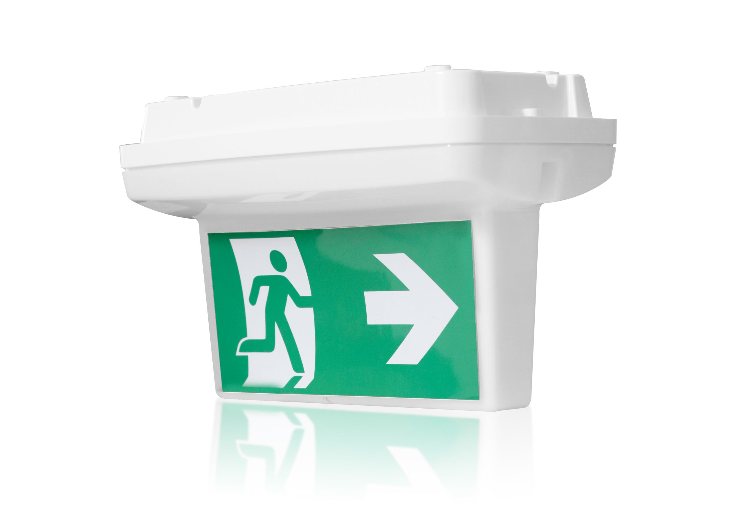 Emergency Light Led 6W Ceiling Safeboy Lumi