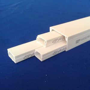 RD Trunking 100×50 – RD100X50