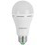 Emergency Bulb