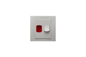 Switch Double Pole With Neon 20A SWL4220 LWD