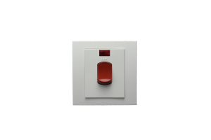 Switch Double Pole With Neon 45A SWL4045 LWD