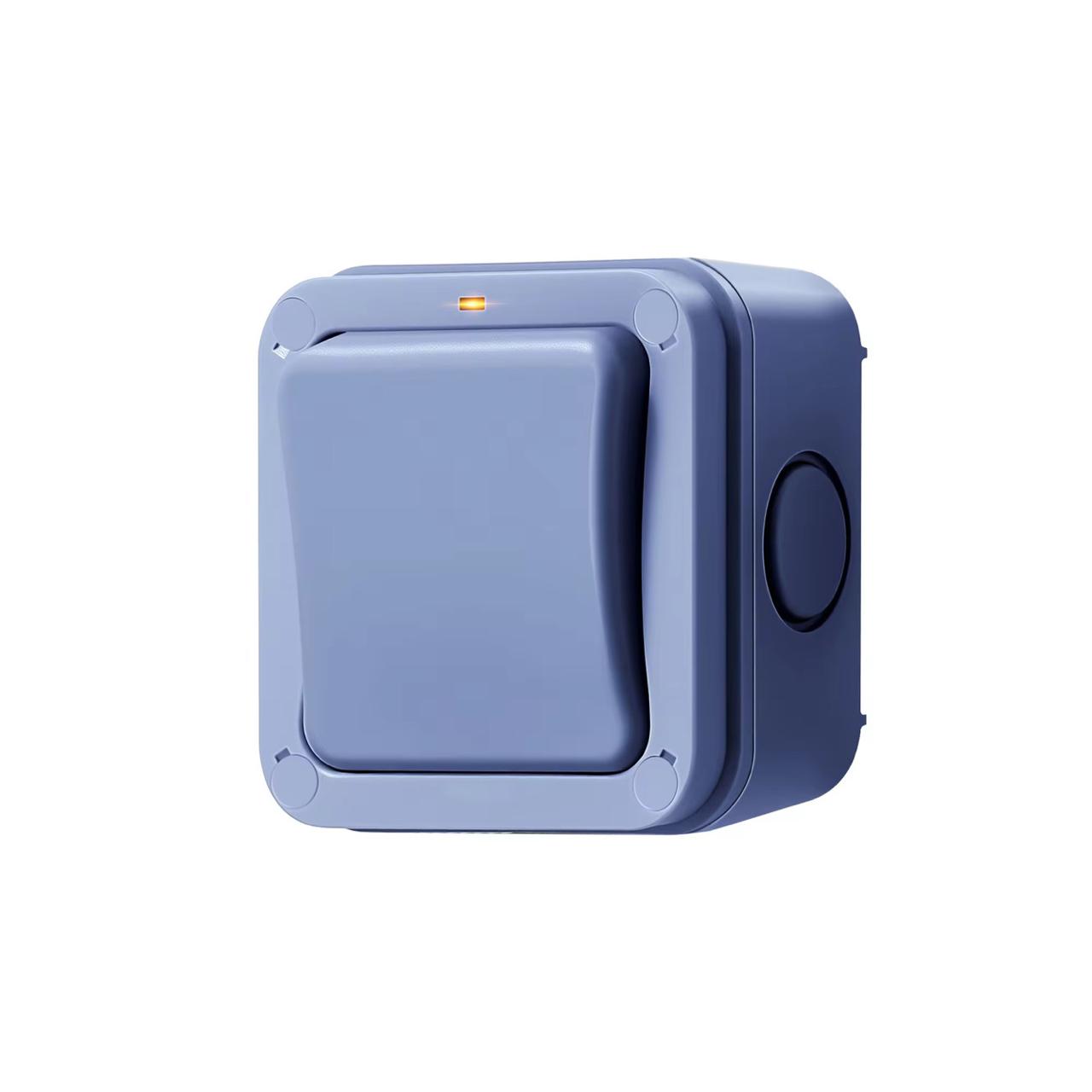 Switch 1G 2W 16A 250V W/Proof IP66 - BE302